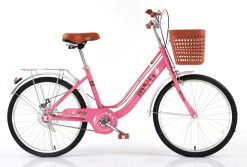 Xe Đạp MYN - Xe Đạp Mini học sinh