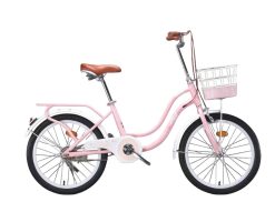 Xe Đạp Mini TAIK 2 Dóng Giỏ Vuông