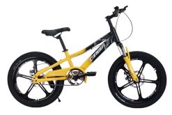 Xe Đạp Địa Hình Trẻ Em CAREER