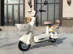 Xe Đạp Điện - Sự Kết Hợp Hoàn Hảo Giữa Công Nghệ Và Tiện Lợi