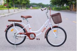 Xe Đạp Mini Nữ Ricoger RC40