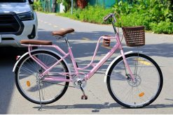 Xe Đạp Mini RECOGER Khung Cong Đủ Size ( Tặng Kèm Đệm Sau + Giá Đựng Bình Nước)